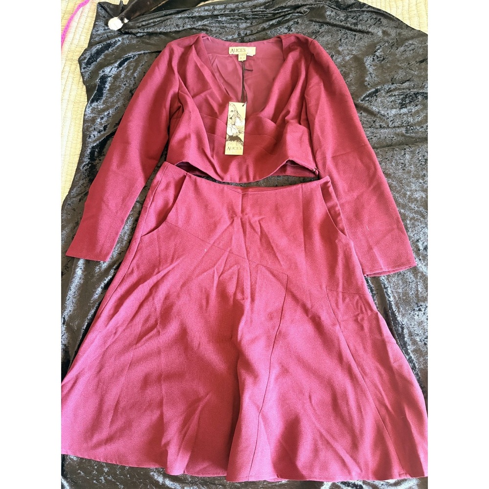 Alice's Pig Maroon Skirt and Shirt Set Size 4 - NWT
